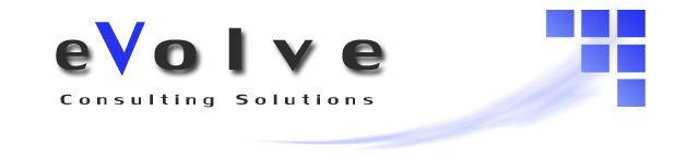 eVolve Business Solutions